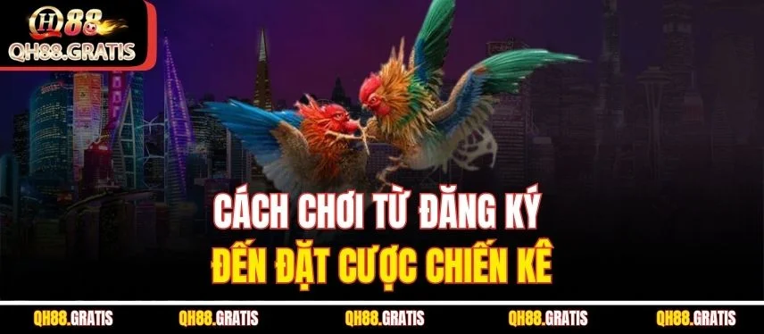 Đá Gà Cựa Dao QH88 - Hướng Dẫn Cách Chơi Và Mẹo Bạn Cần Biết Cách chơi từ đăng ký đến đặt cược chiến kê