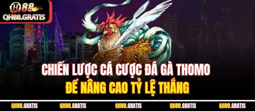 Đá Gà Thomo - Trận Đấu Gà Kịch Tính Và Cá Cược QH88 Hấp Dẫn Chiến lược cá cược đá gà thomo để nâng cao tỷ lệ thắng