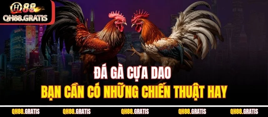Đá Gà Cựa Dao QH88 - Hướng Dẫn Cách Chơi Và Mẹo Bạn Cần Biết Đá gà cựa dao bạn cần có những chiến thuật hay