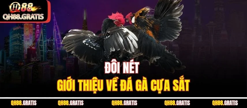 Đá Gà Cựa Sắt - Bí Kíp Chinh Phục Đấu Trường Xanh Chín QH88 Đôi nét giới thiệu về đá gà cựa sắt