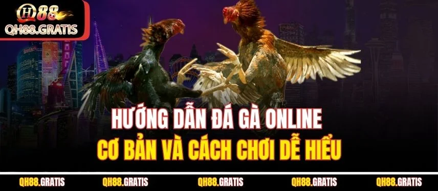 Đá Gà Online QH88 – Cách Chơi, Mẹo Cá Cược Và Những Điều Cần Biết Hướng dẫn đá gà online cơ bản và cách chơi dễ hiểu