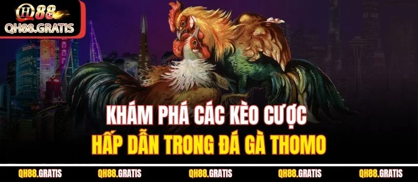 Đá Gà Thomo - Trận Đấu Gà Kịch Tính Và Cá Cược QH88 Hấp Dẫn Khám phá các kèo cược hấp dẫn trong đá gà Thomo