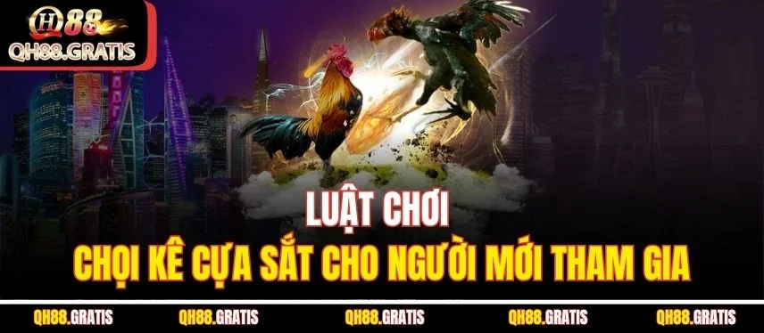 Đá Gà Cựa Sắt - Bí Kíp Chinh Phục Đấu Trường Xanh Chín QH88 Luật chơi chọi kê cựa sắt cho người mới tham gia