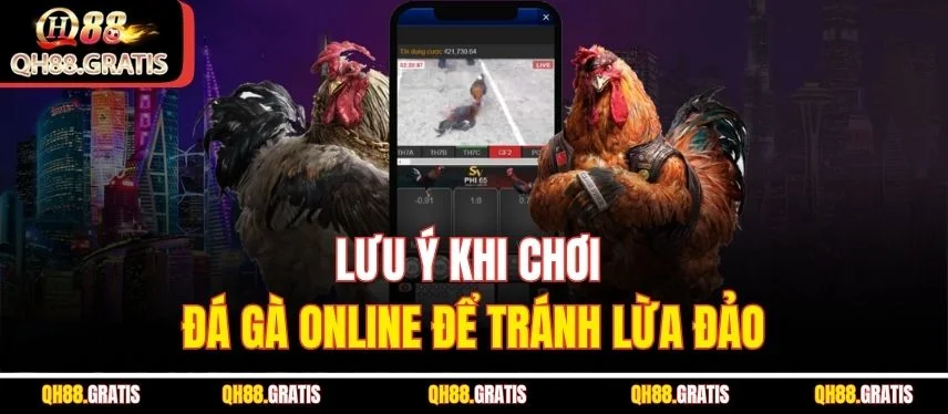 Đá Gà Online QH88 – Cách Chơi, Mẹo Cá Cược Và Những Điều Cần Biết Lưu ý khi chơi đá gà online để tránh lừa đảo