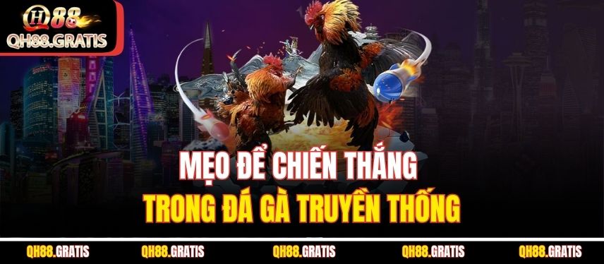 Đá Gà Truyền Thống – Cá Cược Đỉnh Cao Và Thắng Lớn QH88 Mỗi Ngày Mẹo để chiến thắng trong đá gà truyền thống