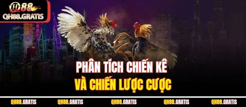 Đá Gà Cựa Dao QH88 - Hướng Dẫn Cách Chơi Và Mẹo Bạn Cần Biết Phân tích chiến kê và chiến lược cược