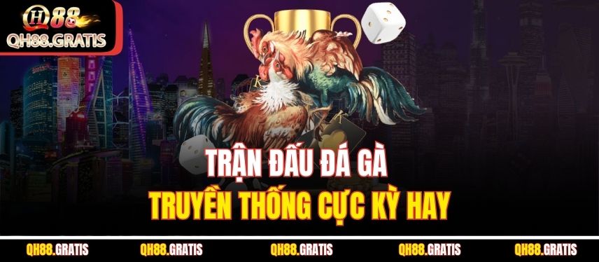 Đá Gà Truyền Thống – Cá Cược Đỉnh Cao Và Thắng Lớn QH88 Mỗi Ngày Trận đấu đá gà truyền thống cực kỳ hay